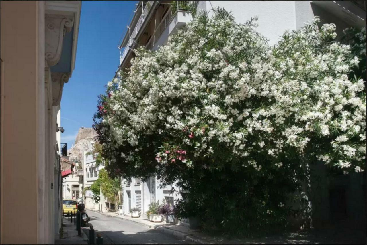 Apartamento Vintage Charm By The Acropolis! Atenas Exterior foto